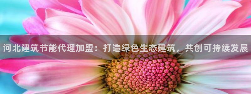 谁知道e尊国际的网址：河北建筑节能代理加盟：打造绿色生态建筑，共创可持续发展