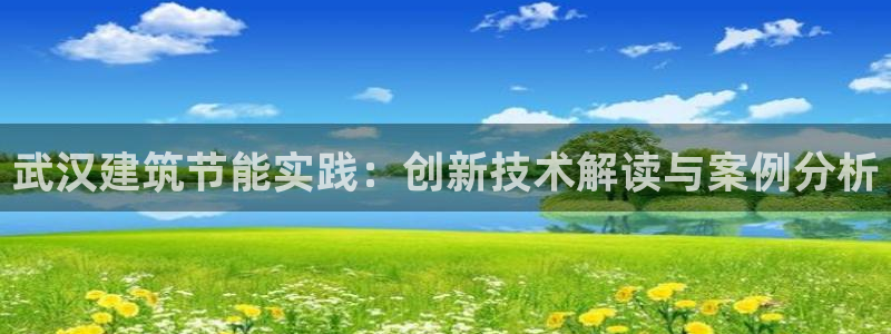 e尊国际平台：武汉建筑节能实践：创新技术解读与案例分析