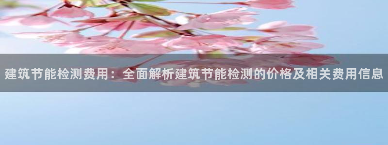 尊亿游戏国际官网：建筑节能检测费用：全面解析建筑节能检测的价格及相关费用信息