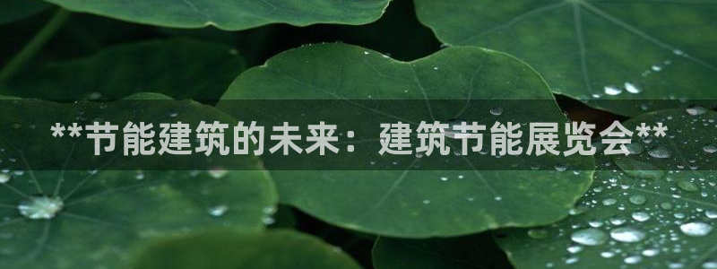 e尊国际娱乐官网地址：**节能建筑的未来：建筑节能展览会**