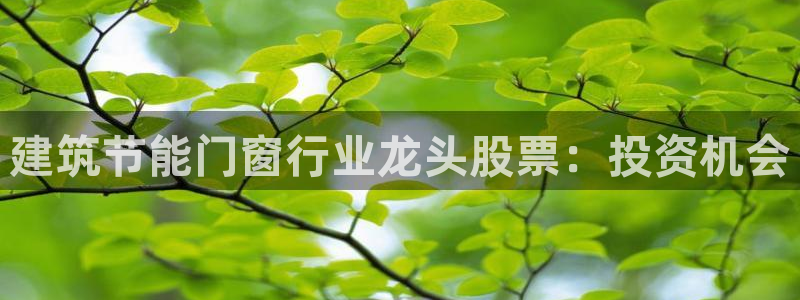 E尊国际：建筑节能门窗行业龙头股票：投资机会