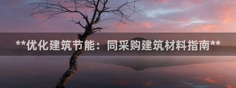 e尊国际客户端：**优化建筑节能：同采购建筑材料指南**