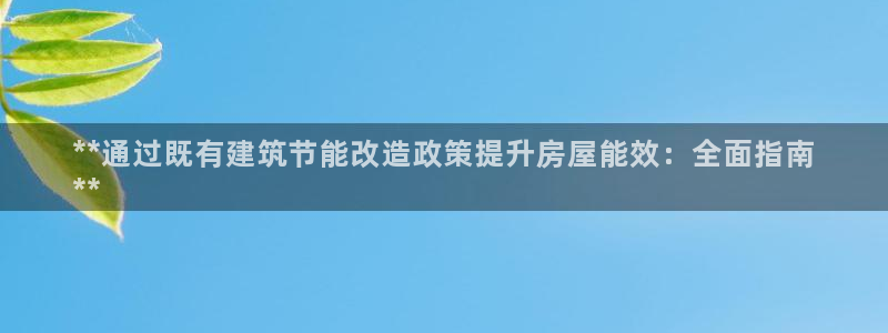 e尊国际网址：**通过既有建筑节能改造政策提升房屋能效：全面指南
**