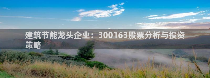 e尊国际7779：建筑节能龙头企业：300163股票分析与投资
策略